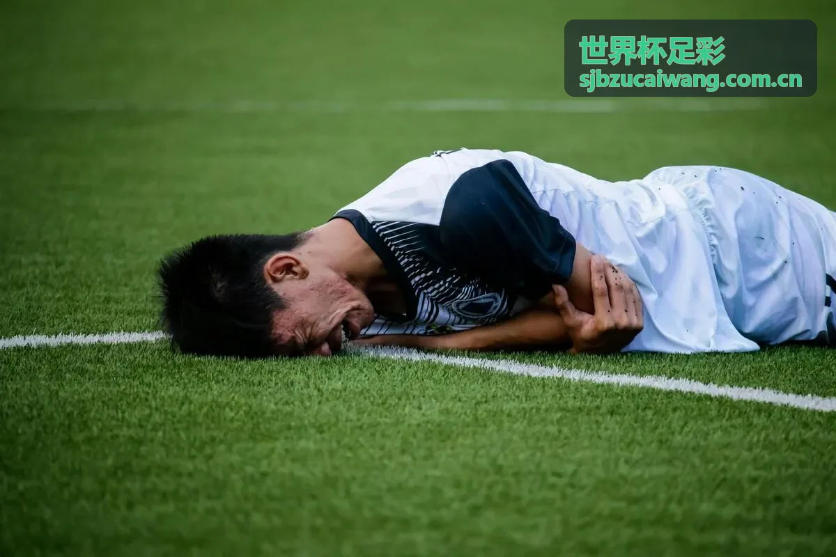 世界杯热门球队数据统计